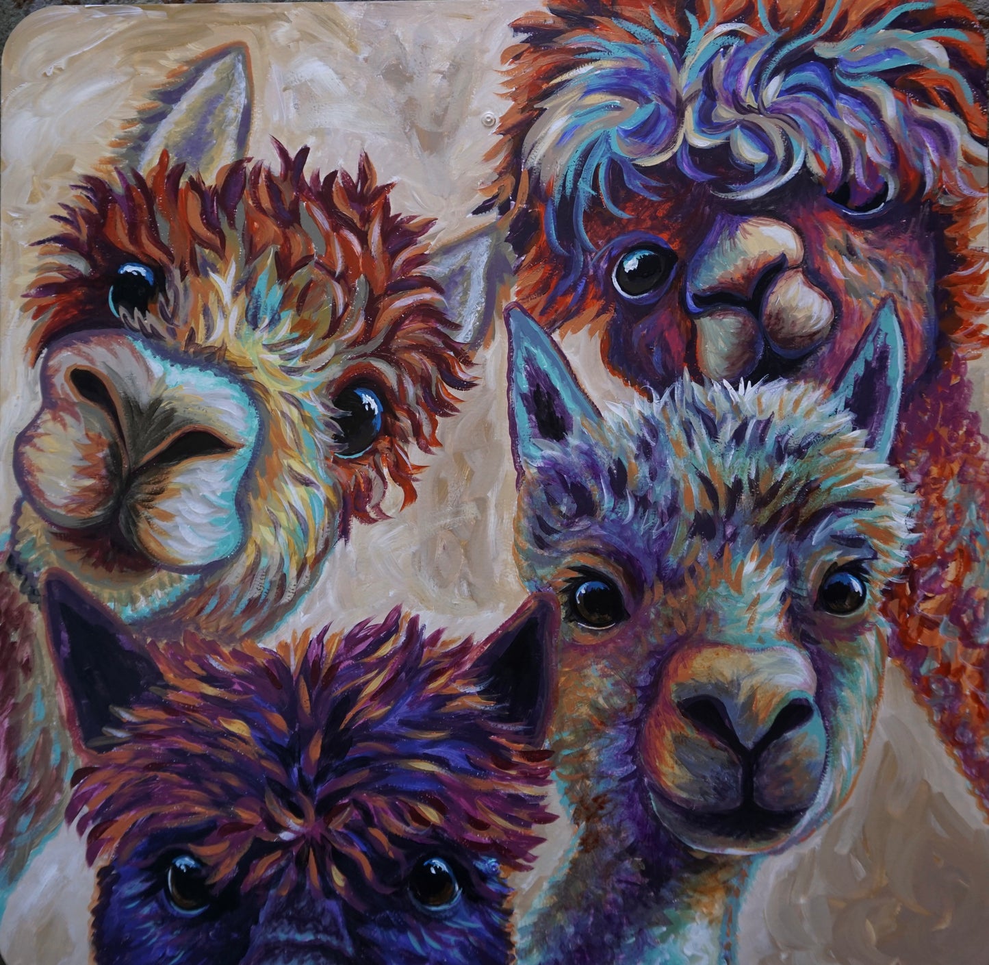 Hangry? Alpaca Lunch