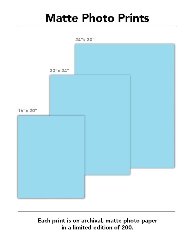 Keep Calm and Love Donkeys