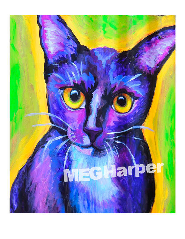 Custom Pet Portrait_Cat_Finch