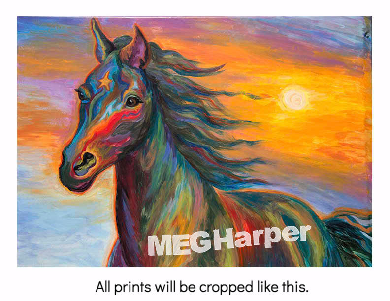 Custom Animal Painting_Horse_Horse With No Name