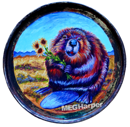 Beautiful Beaver Shot