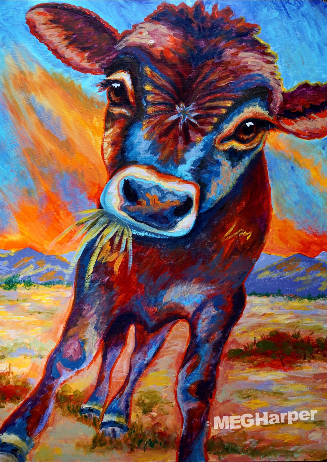 Amron's Calf