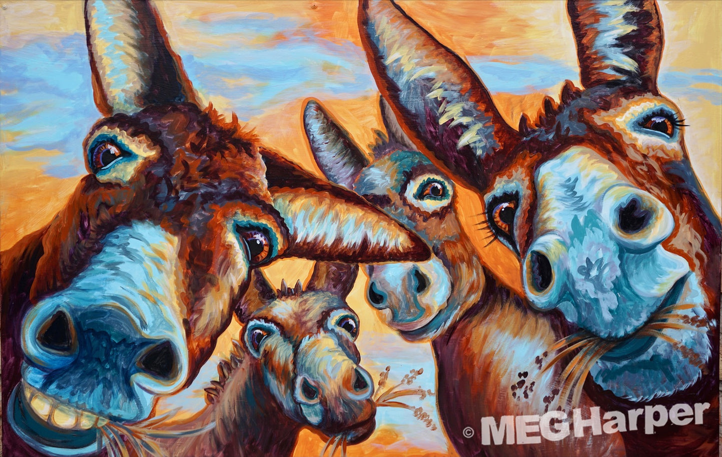 Herd You Need Some Fun