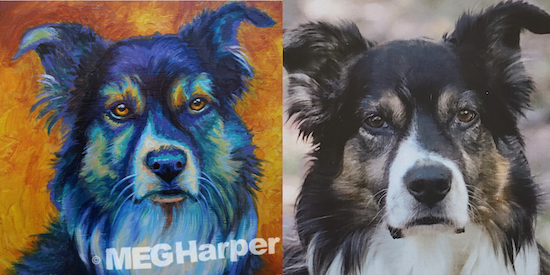 Pet Portrait (Deposit)