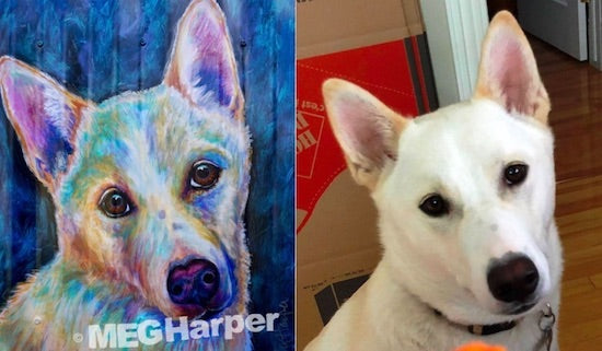 Pet Portrait (Deposit)