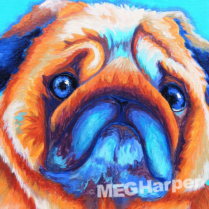 Custom Pet Portrait_Dog_Benzi