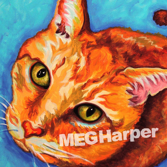 Custom Pet Portrait_Cat_Chachi