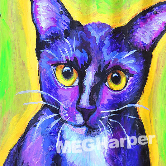 Custom Pet Portrait_Cat_Finch