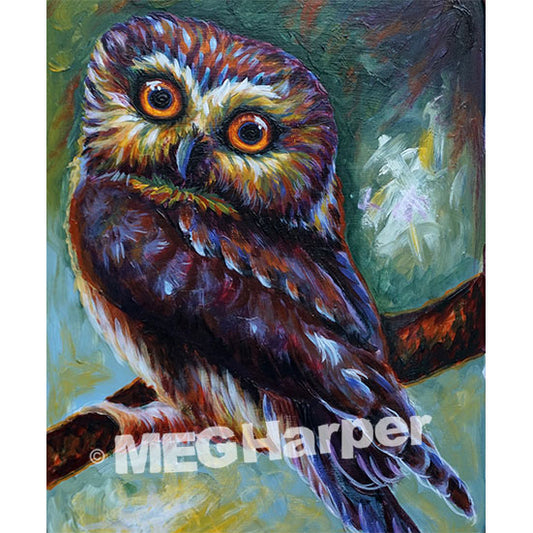 Custom Animal Painting_Bird_Sa weet Saw Whet