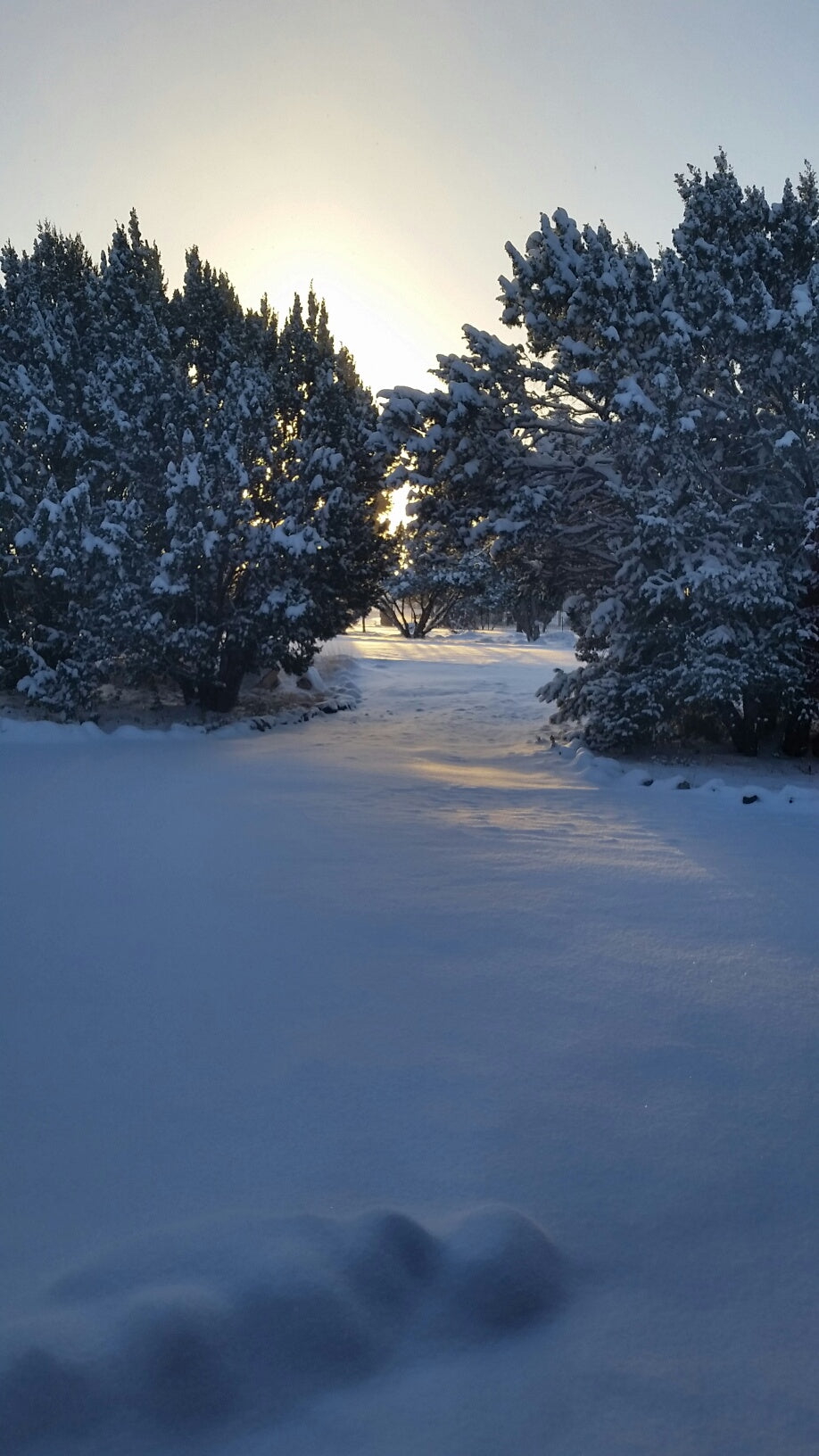 This Will Make You Feel Better