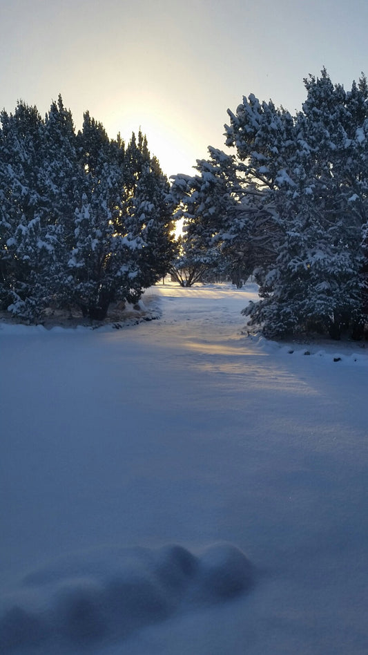 This Will Make You Feel Better