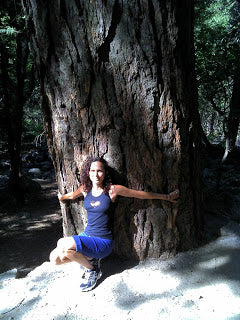 Meg Harper is a professed proud tree hugger