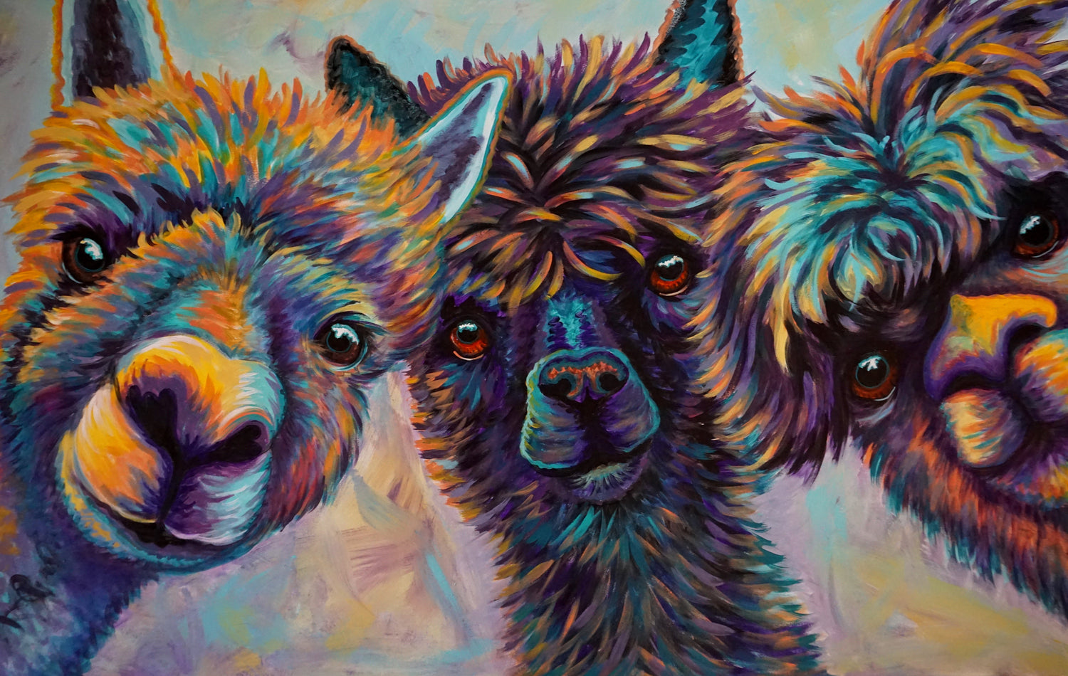 Llamas and Alpacas