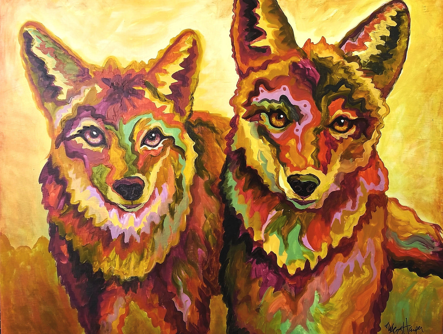 Foxes, Wolves and Coyotes