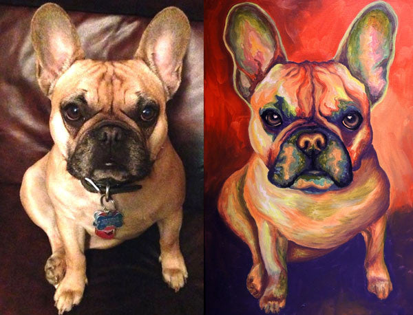 Pet Portraits