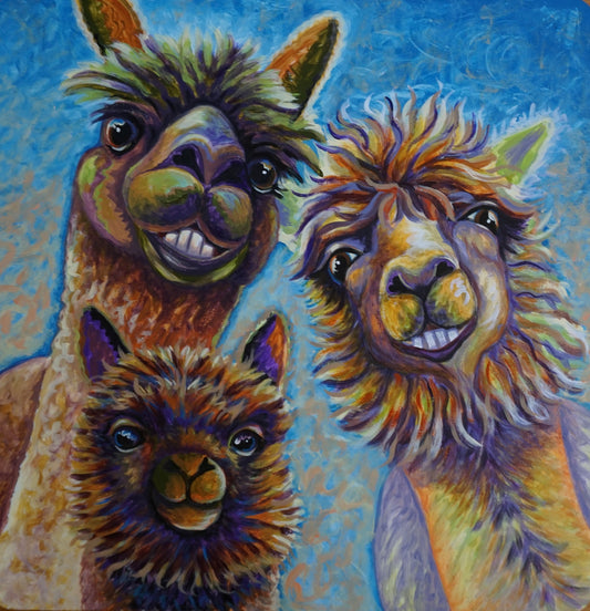 Alpaca Grins and Family Wins