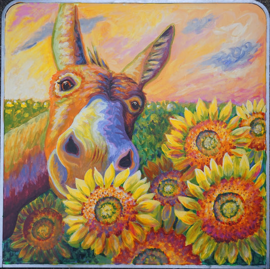 A Bray of Sunshine