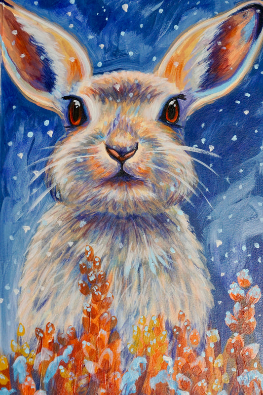 A Snowy Makeover