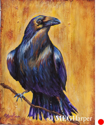 Custom Animal Painting_Bird_Birds Eye Barrel