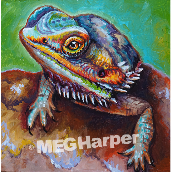 Lizard Custom Seymour ~ Custom Pet Lizard Portrait ~ Meg Harper Arts ~ Custom Commissions