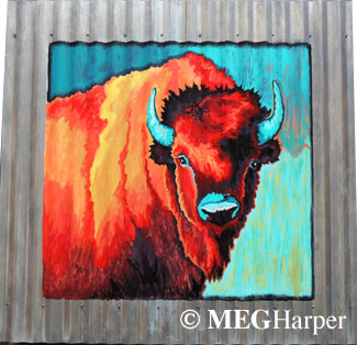 Custom Animal Painting_Buffalo_Down to Earth