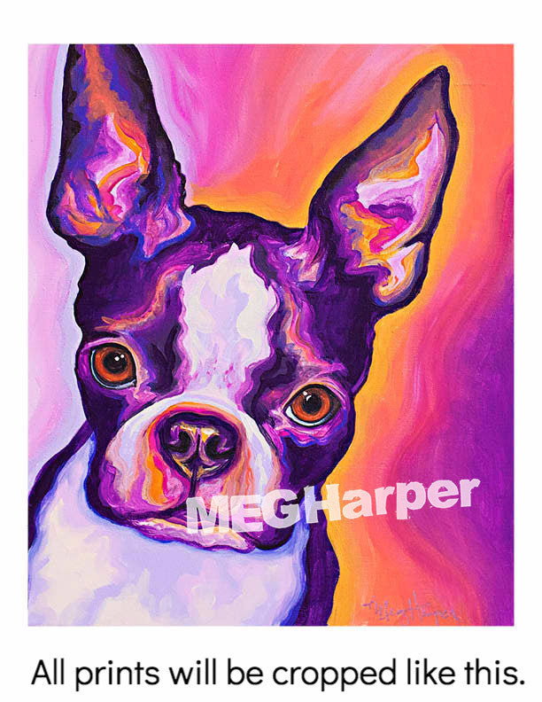 Custom Pet Portrait_Dog_Boston Terrier