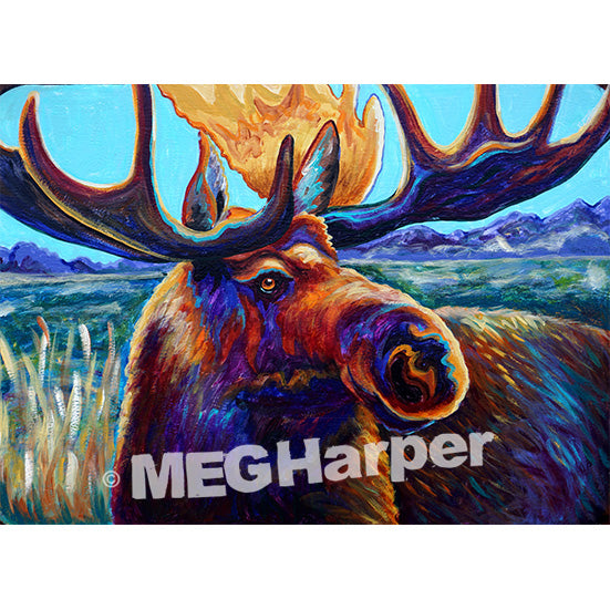 Custom Animal Painting_Moose_Don't Sweat It