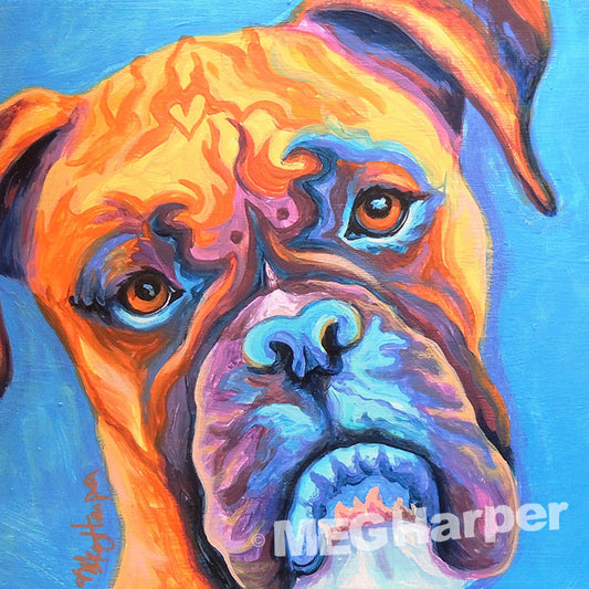 Custom Pet Portrait_Dog_Rolling With The Punches